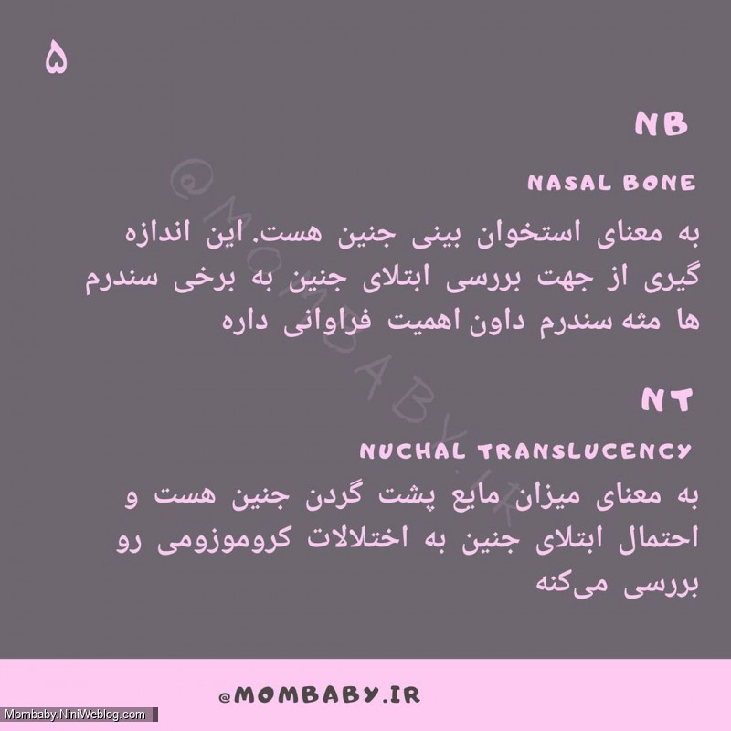 اصطلاحات سونوگرافی در بارداری (NT)(NB)