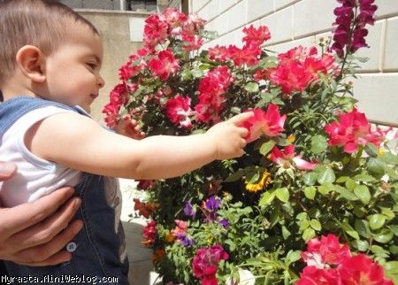 رستا گلهای حیاط رو ناز میکنه !! ( 248 روزگی) 
