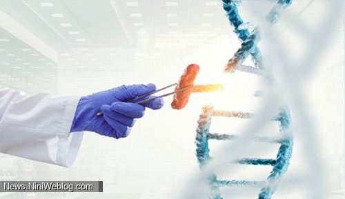آزمایش ژنتیک NGS چیست ؟