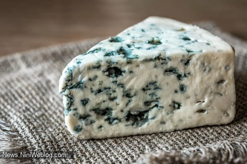 پنیر بلوچیز