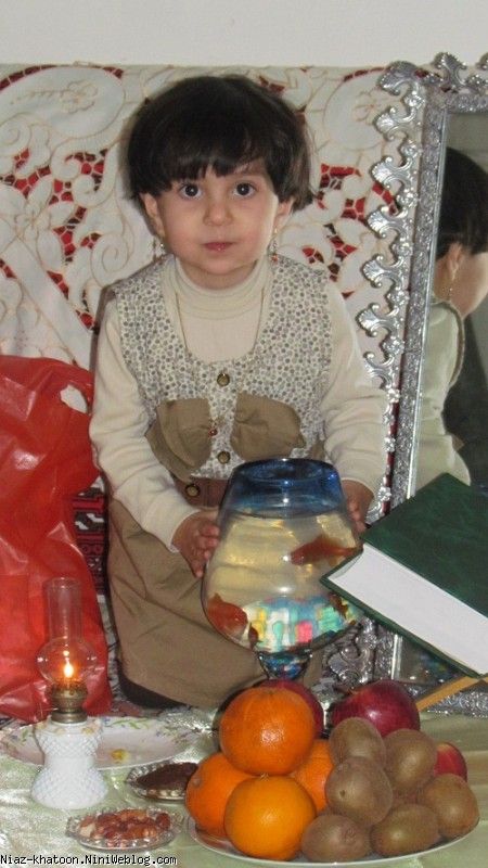 گربه