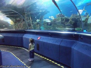 aquaria klcc malaysia
