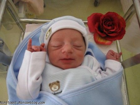 شایان 2 اینم یک عکس دیگه