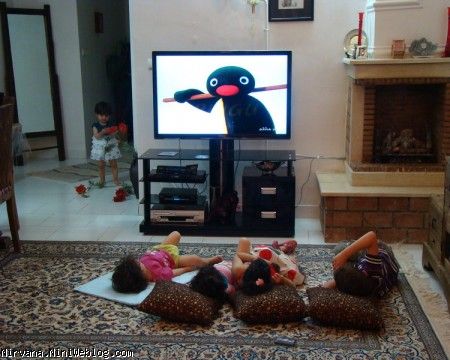 همه مشغول تماشاي پينگو بجز نيروانا كه مشغوله به گلها