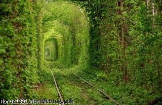 تونل عشق - تونل قطار قدیمی در Kleven، اوکراین 