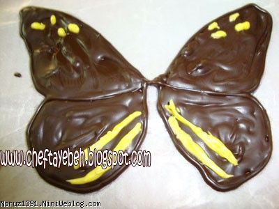 شکلات پروانه ای 3