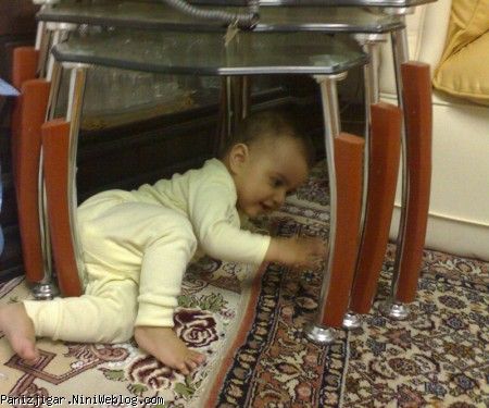 زیر میز
