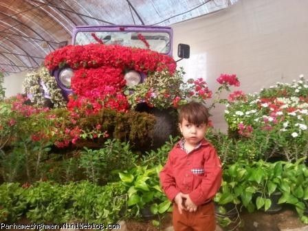 یک سفر به باغ گل محلات درشهریور ماه