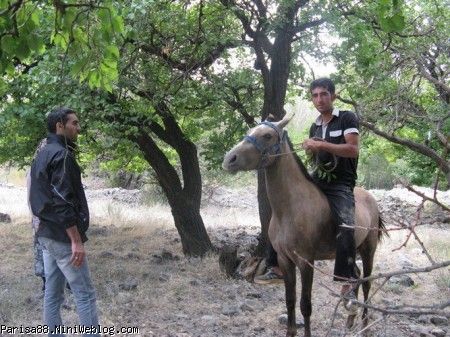 هادی و اسب اش