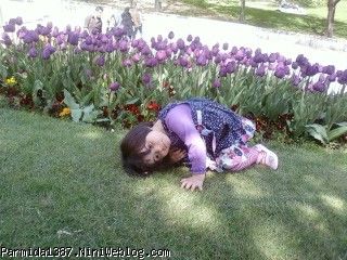به پارميدا گفتم ماماني بخواب کنار گلها تا ازت عکس بگيرم که به اينصورت خوابيد. من کلي خنديدم