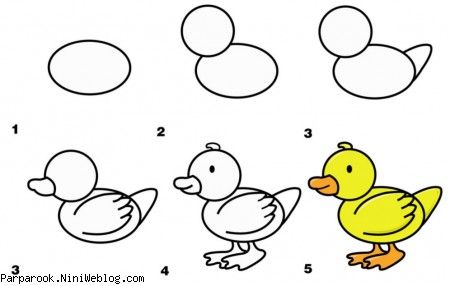 آموزش گام به گام اردک