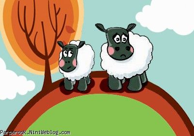 گوسفند کوچولو و برادرش ... داستانی برای شکوفه ها