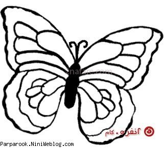 الگوی پروانه برای پروانه شکلاتی