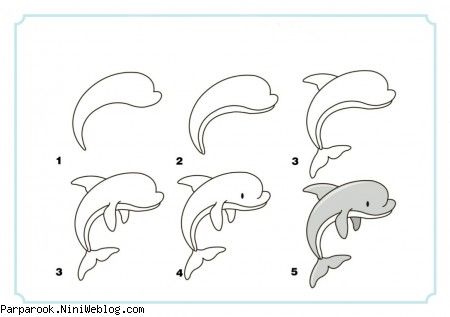 آموزش گام به گام دلفین
