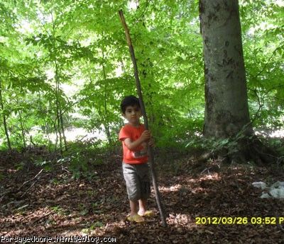 پارسای چوب به دست آخرین پنج شنبه و جمعه بهاری