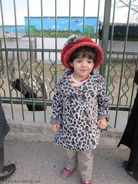 اخرین پست عکس دخترم باغ وحش مشهد 