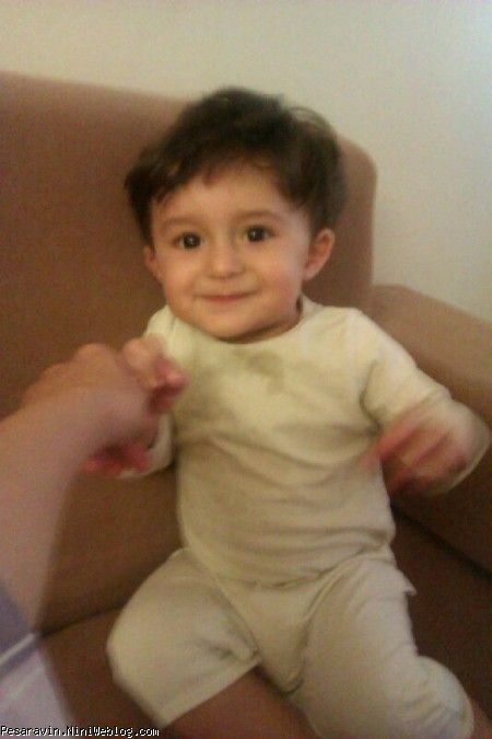 halal zade be dayeesh mireee...avin 8mahegi halal zade be dayeesh mireee...avin 8mahegi