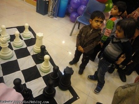 رادمهری وشطرنج 