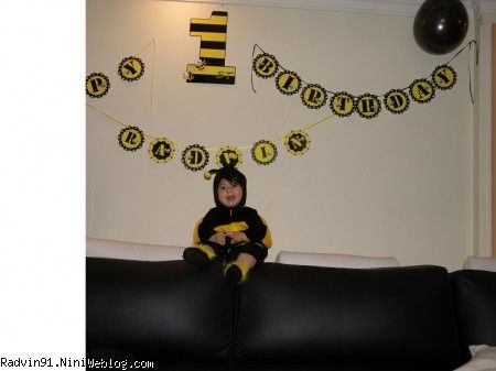 تولد 1 سالگی با تم زنبور