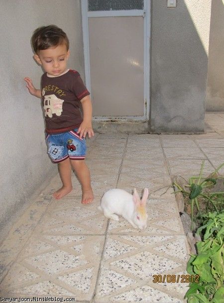 سامیار و آقا خرگوشه