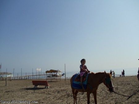 اسب سواری در ساحل بابلسر