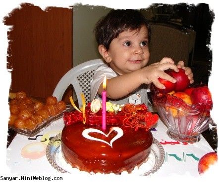 تولد یک سالگی سانیار