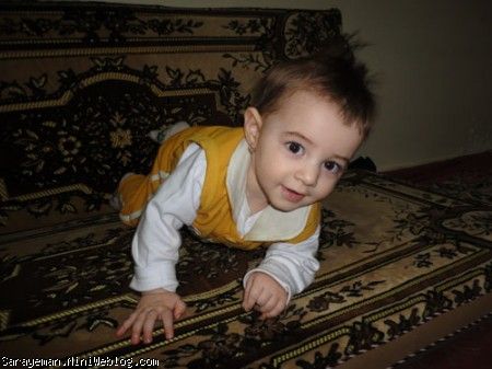 8 ماهگي
