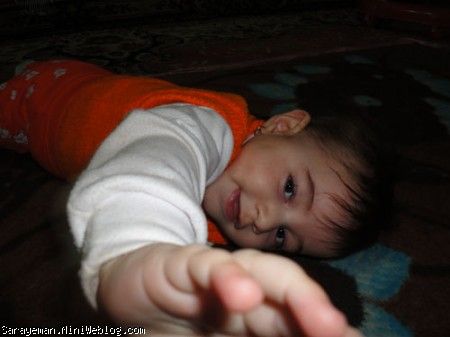 7 ماهگي