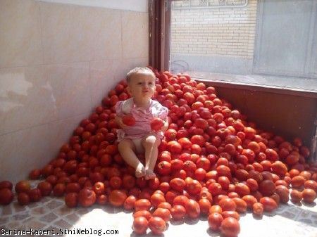سارینا گوجه در تبریز 