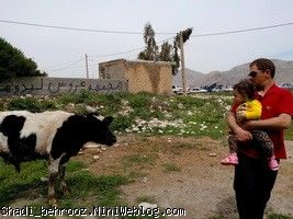 عمه عهدیه