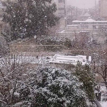 برف در شیراز