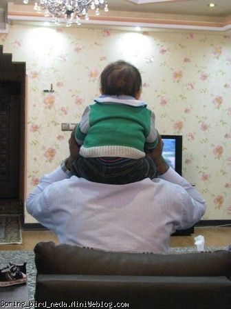 فندق بابا فندق بابا