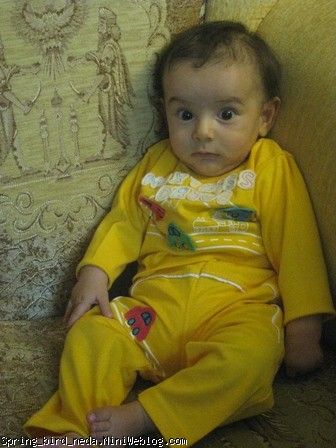 تولد زندایی صبا تولد زندایی صبا