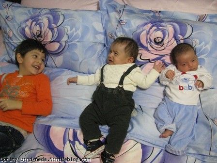 22دی 22دی