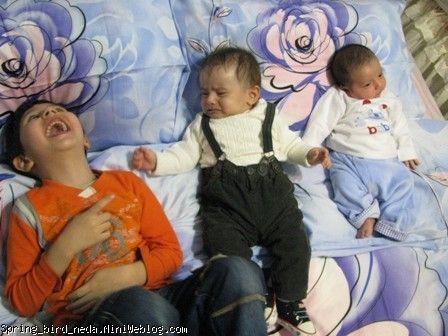 چه پسرهای گلی چه پسرهای گلی