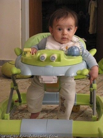 عسلمی عسلمی
