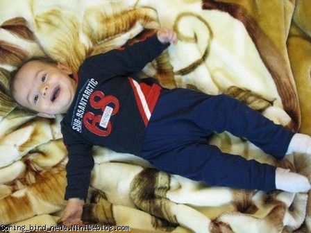 بغلم کنید لطفا بغلم کنید لطفا