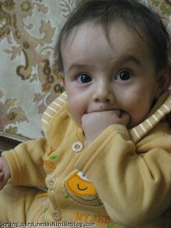 حبه ی انگورم حبه ی انگورم