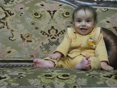 قشنگم قشنگم