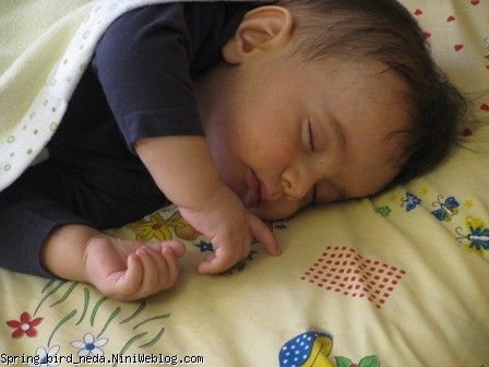 لالایی لالایی