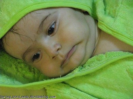 زنده باشی زنده باشی