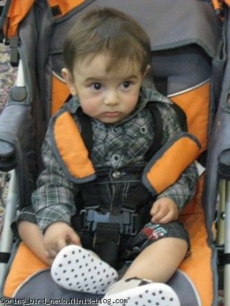 فرشته ی من فرشته ی من
