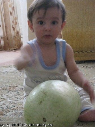 قشنگم قشنگم
