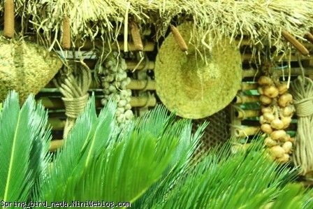 13 13