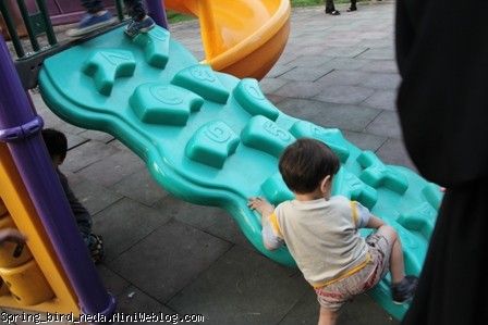 29 29