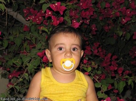 عکسای قشنگ طاها جون