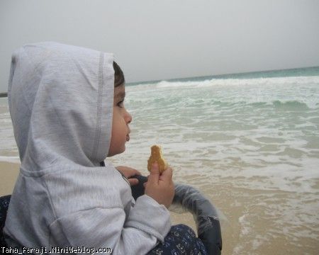 سفر کیش سفر کیش