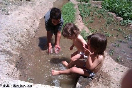 دوقلوها مشغول آب بازی در باغ