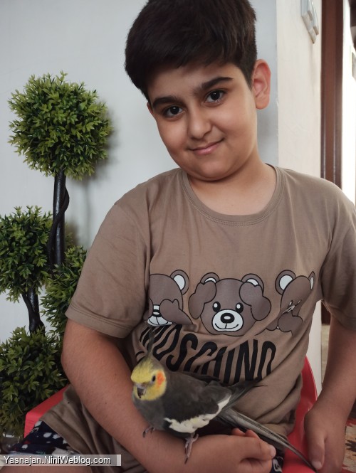 فندق