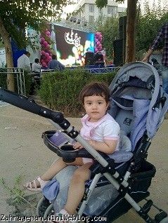 پنگول و زهرا